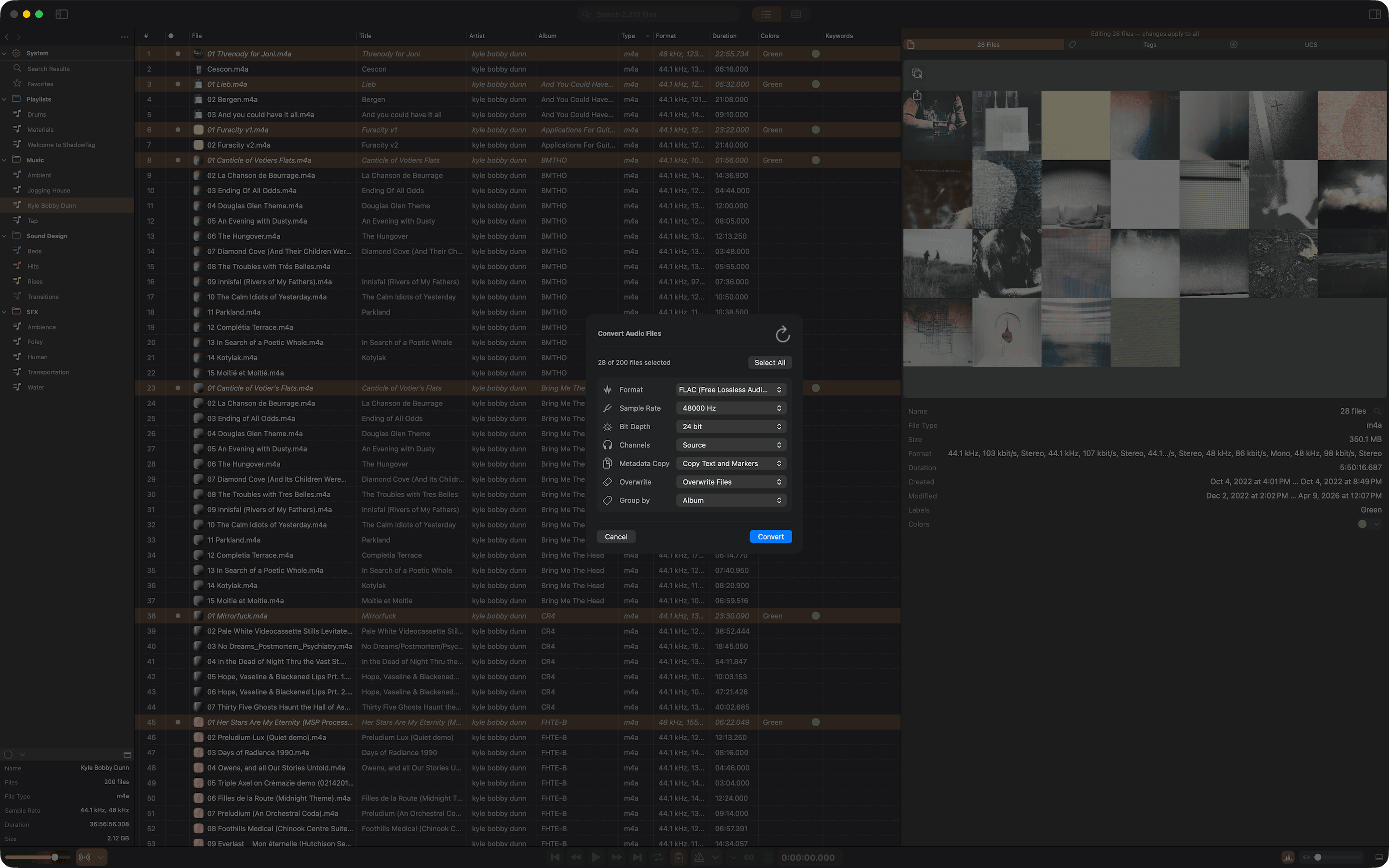 ShadowTag export options