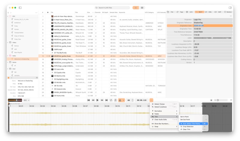 ShadowTag BEXT metadata editor