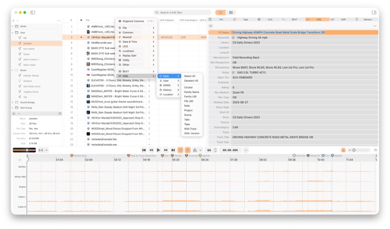 ShadowTag iXML metadata editor